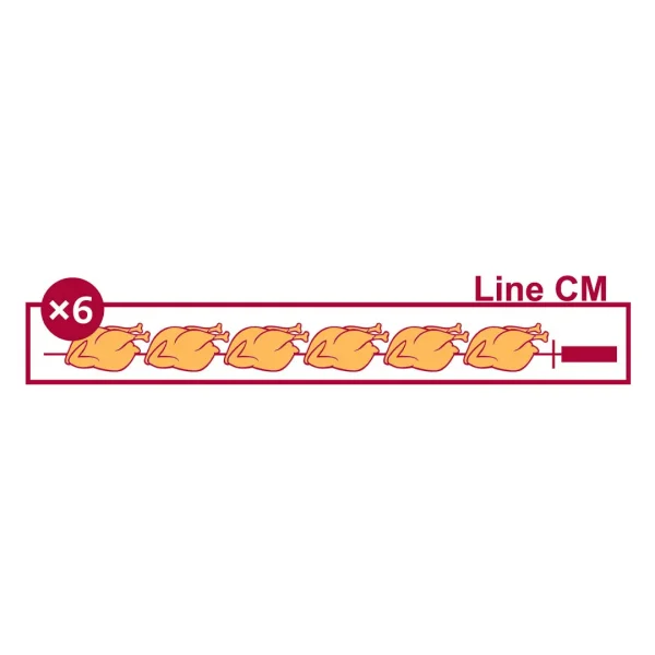 Diamond Hähnchengrill Gas 6 Spieße auf Rädern (36 Hähnchen)